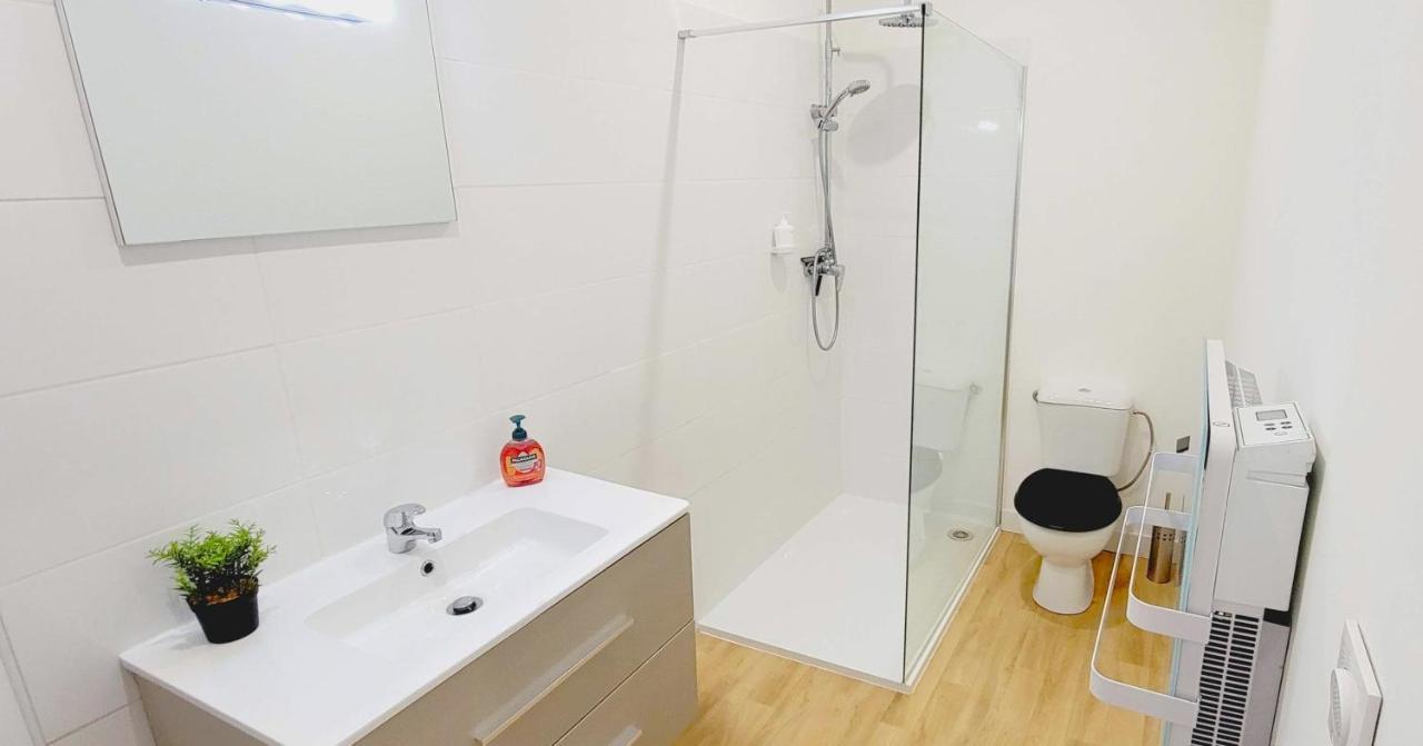 Le Wlerick 4 - Hyper Centre - Au Calme - Wifi Apartment Mont-de-Marsan Ngoại thất bức ảnh